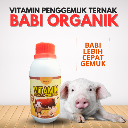 Vitamin Babi Cepat Besar / Vitamin Untuk Babi Agar Cepat Gemuk / Obat Penggemuk Babi / Obat Untuk Pe