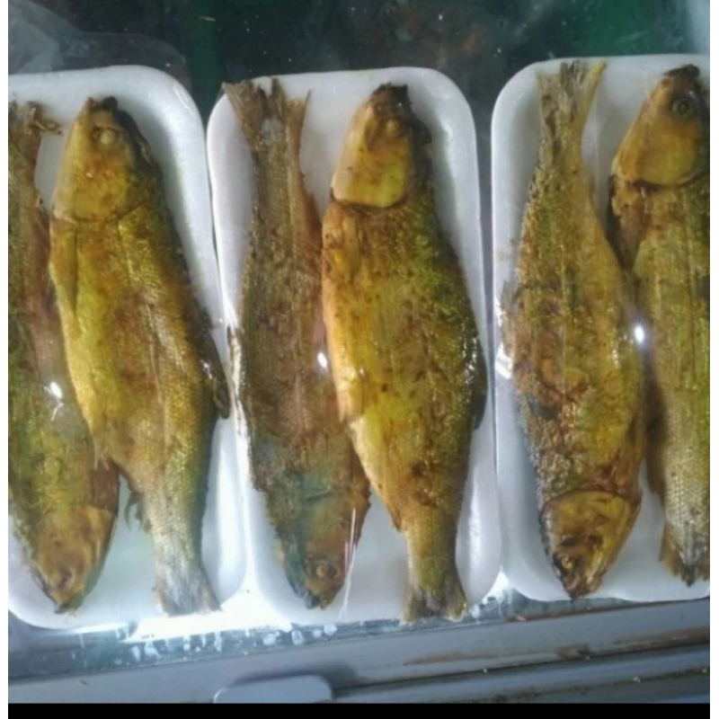 

Ikan Bandeng Presto per pack isi 2 ekor