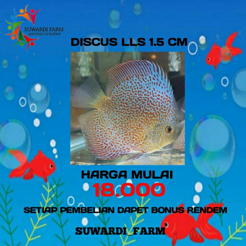 aksesoris Akwarium (Discus LSS 1,5 Cm)