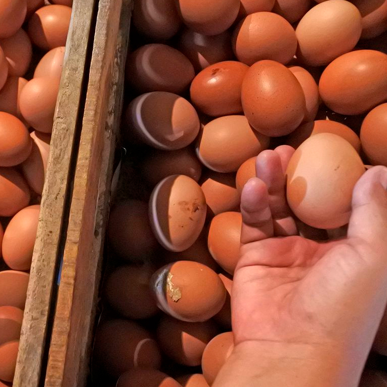 

HA TELUR AYAM NEGRI CURAH PER KG