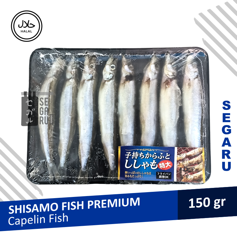 Ikan Shisamo Fish | Capelin Fish Premium Import Frozen