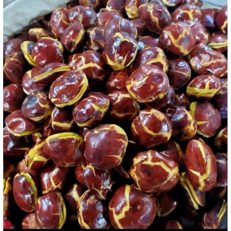 

JENGKOK TUA UKURAN BESAR1 KG ( 1000 gram)