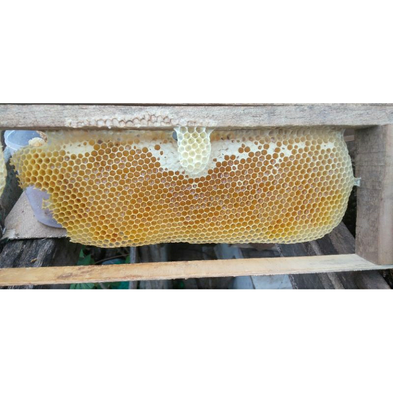 

Madumurni