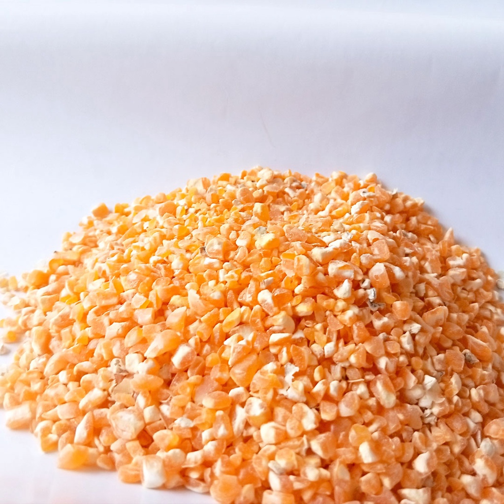 Makanan Ayam Burung Jagung Pecah 20kg Pakan Ayam Burung Merpati Unggas Siap Pakai