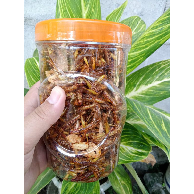 

belalang goreng/walang goreng MURAH toples soses sonice food camilan