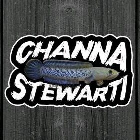 Sticker STEWARTI 7-8CM