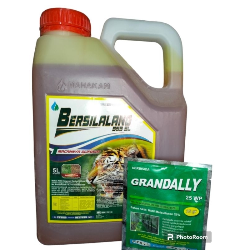 bersilalang 559 sl glifosat 5 liter