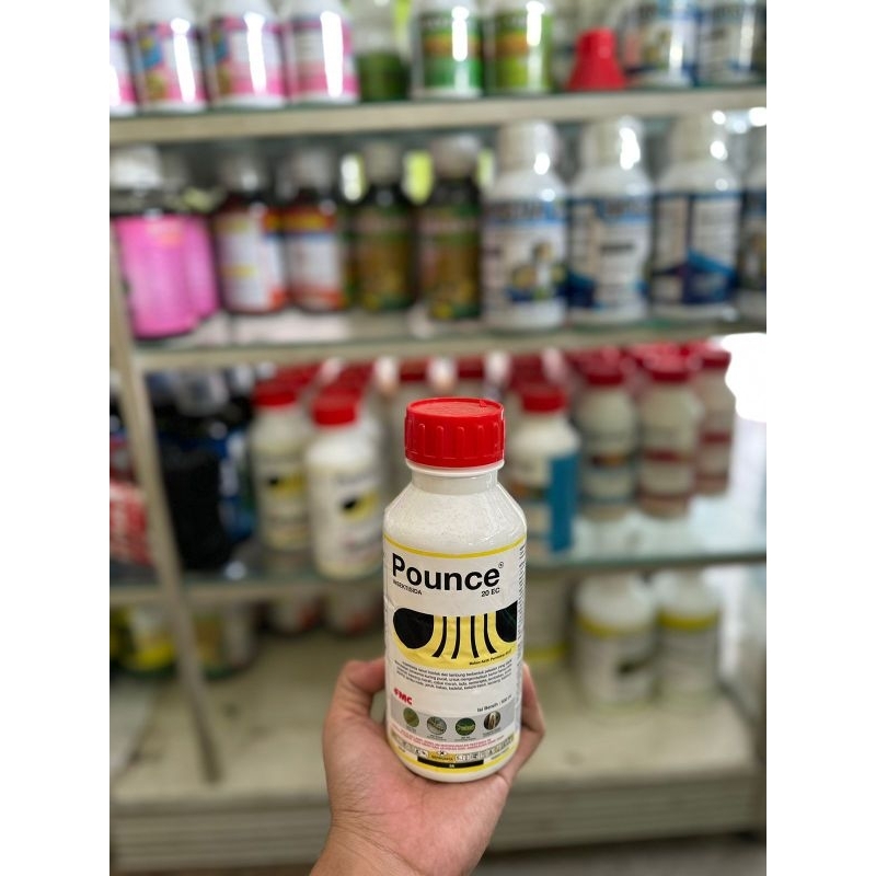 insektisida pounce 20 EC 500ml