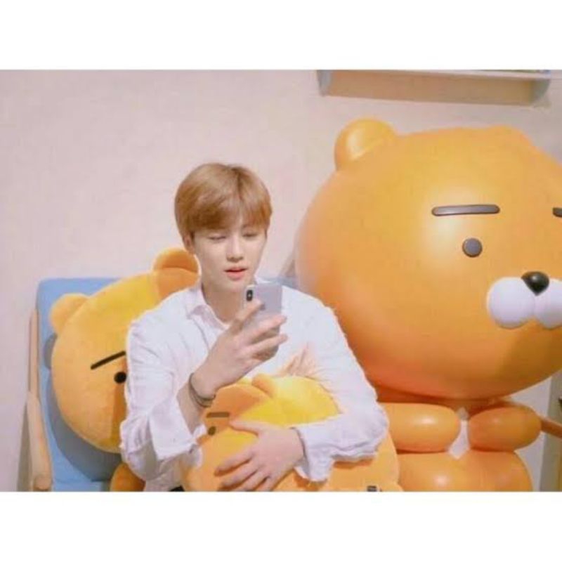 READY BONEKA IDOL KPOP NA JAEMIN, JAEHYUN NCT, RM BTS, KANG DANIEL KAKAO FRIEND, LITTLE FRIEND (RYAN