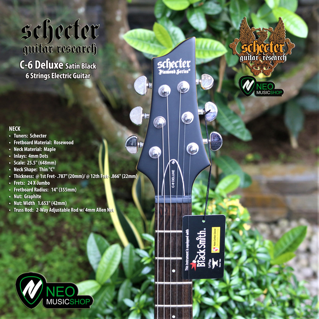 Schecter C6 Deluxe Satin Black 6 Strings Gitar Elektrik