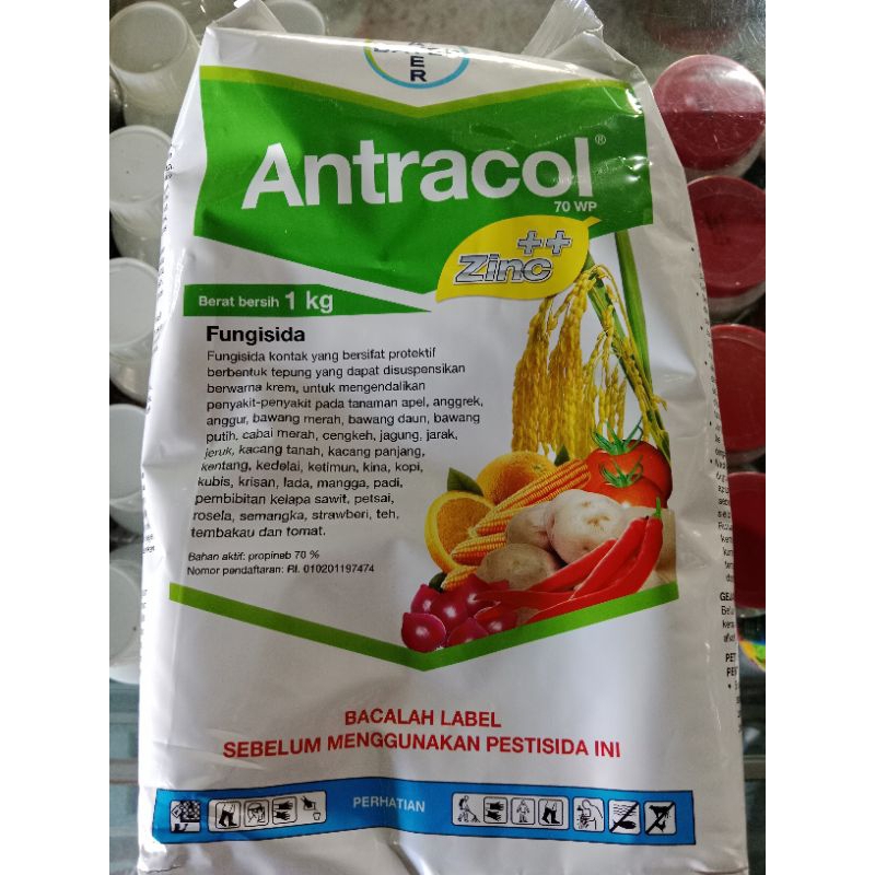 ANTRACOL 70WP 1KG