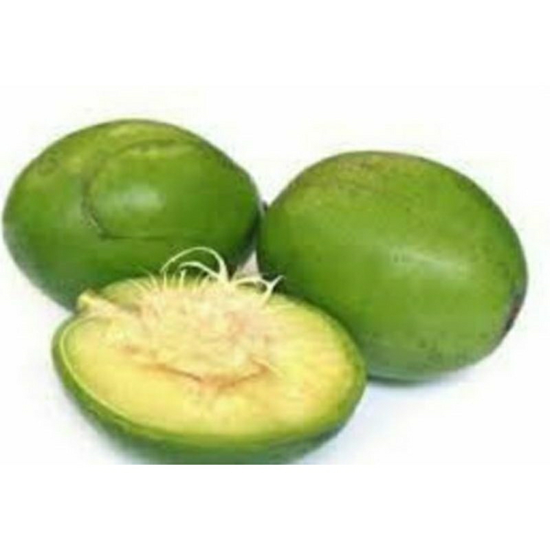 

dondong super premium/asem-asem manis 1kg