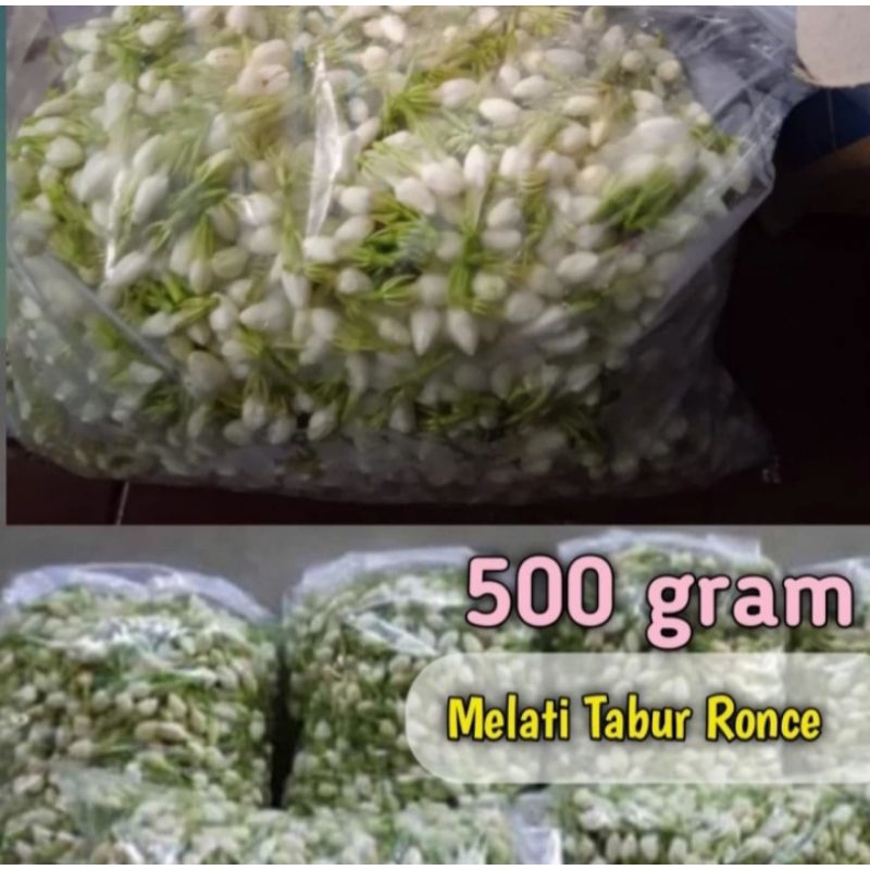 bunga melati segar 500gram
