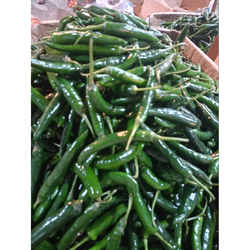 

Cabe TW hijau segar per1KG
