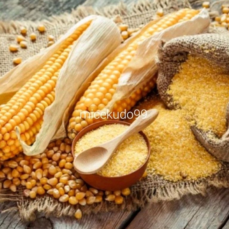 

BERAS JAGUNG ORGANIK ENAK GRADE A NASI SEGO JAGUNG KUALITAS SUPER RICE CORN ORGANIC