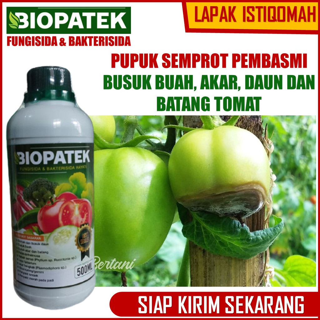 BIOPATEK 500 ML Obat Hama Penyakit Layu / Kering Daun Tomat - Biopatek Fungisida Bakterisida Hayati 