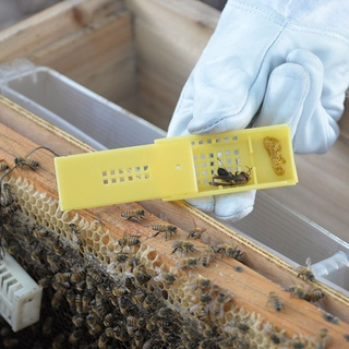 Rumah Madu Lebah Apis Cerana Apis Melifera Model Kotak Tarikan Kurungan Ratu Kandang Ratu Lebah