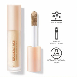 HANASUI PERFECT COVER CONCEALER