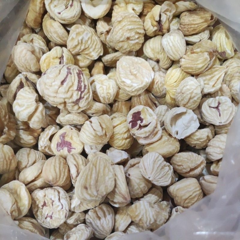 

Lak cie import pilihan/ latci