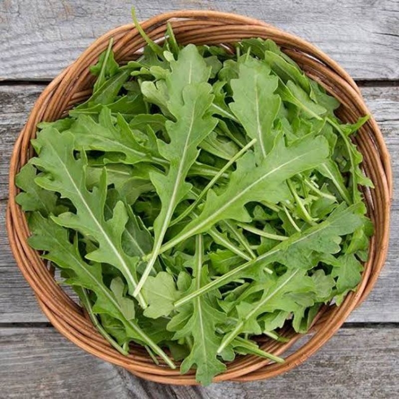 

arugula organik 100 gr