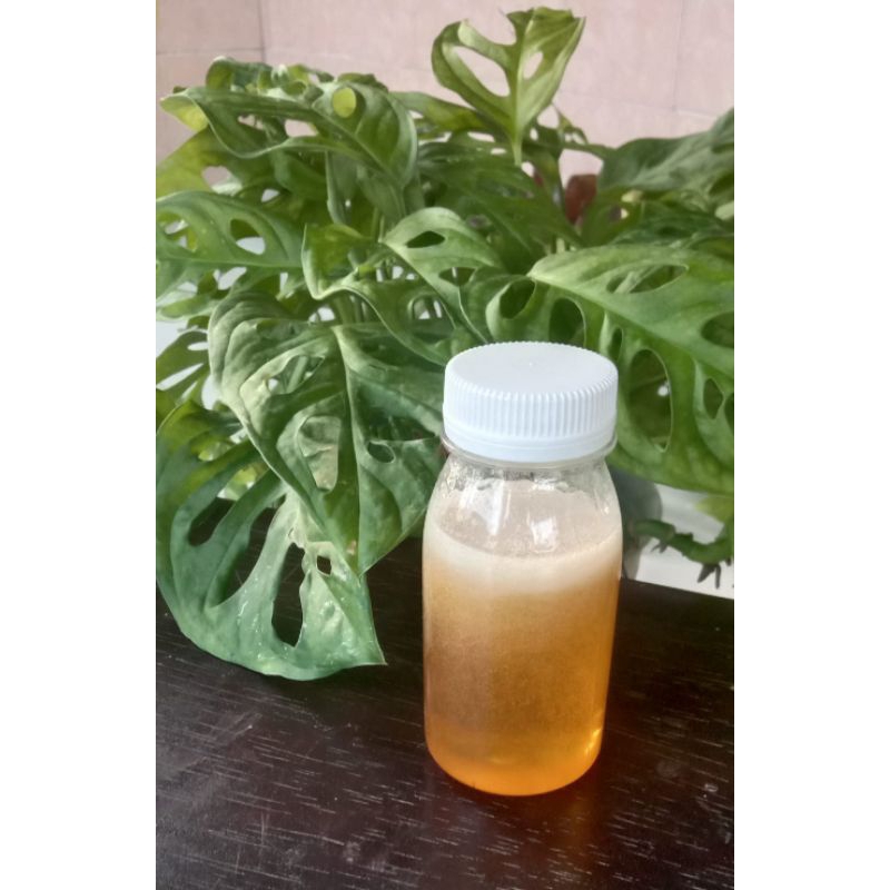 

Madu multiflora murni asli kemasan 50gr