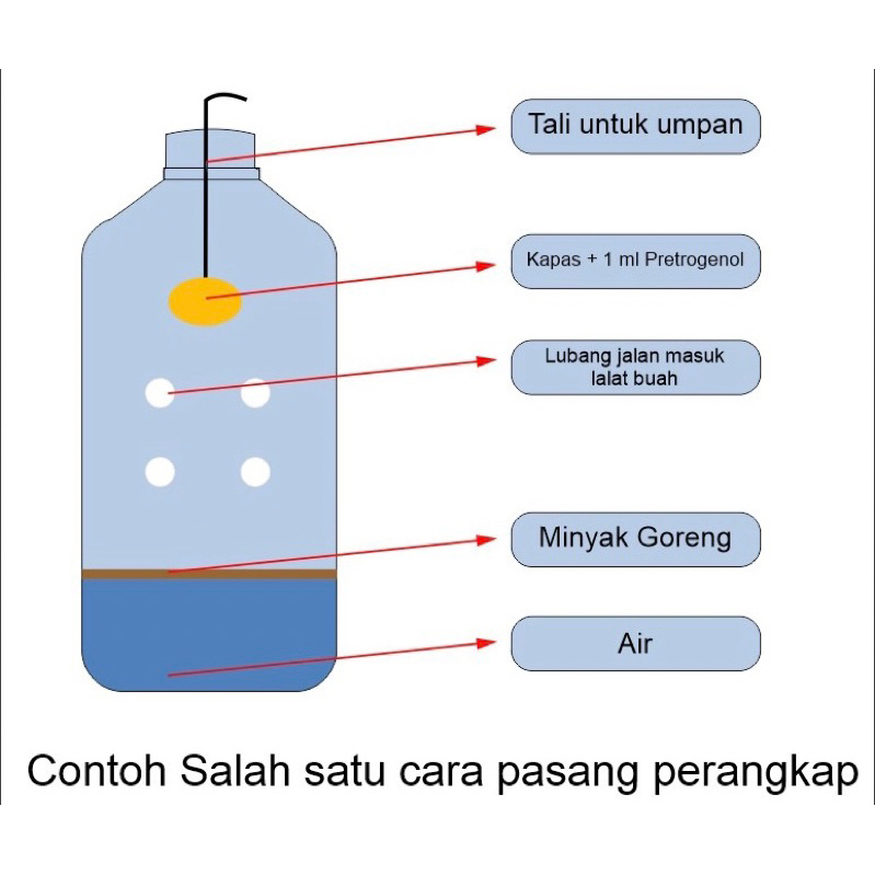 Pestisida / Insektisida Perangkap Lalat Buah PETROGENOL Atraktan 5ml