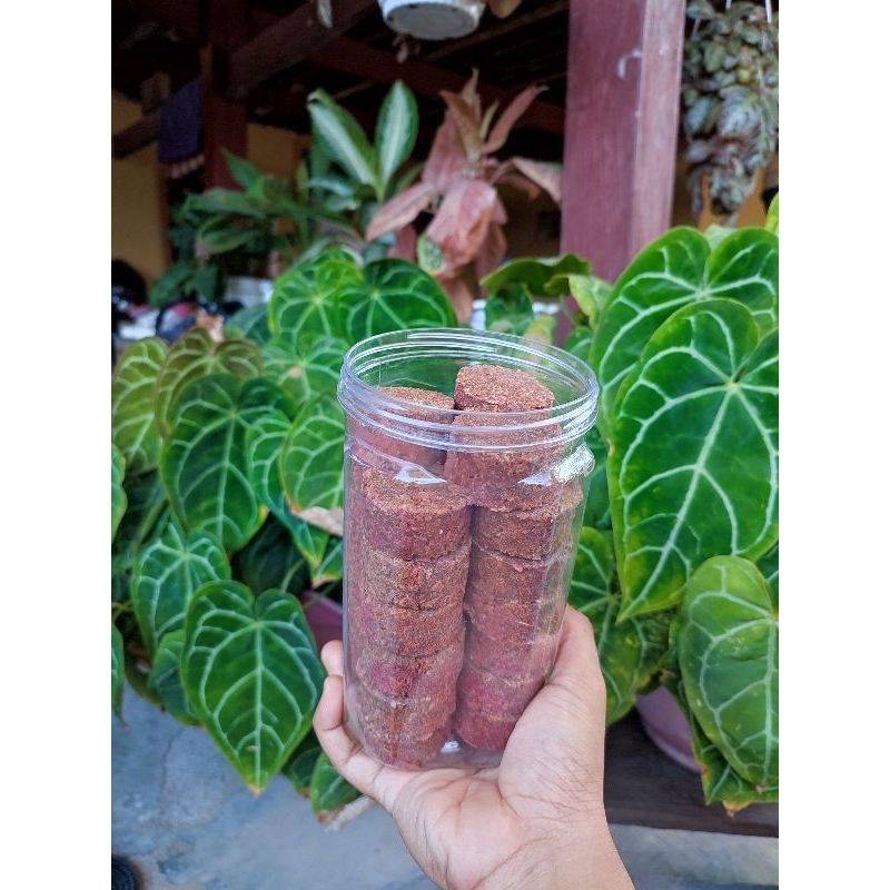 

TERASI LAKARA LEMPENG 1KG per box