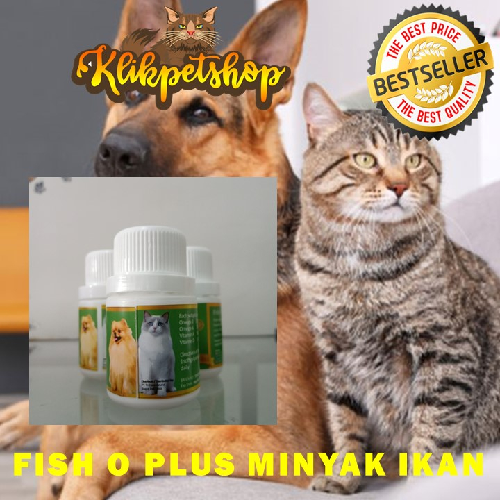 Fish O Plus 1 Botol Minyak Ikan Vitamin Kucing Anjing Kelinci Hewan