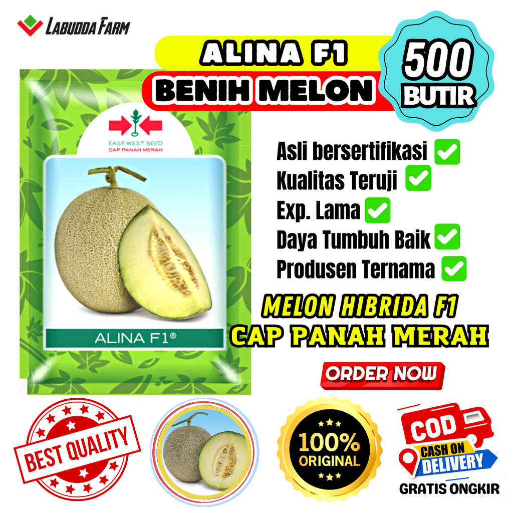 Benih Melon Alina F1 Isi 500 Butir Bibit Melon Hibrida Melon Fruit Tahan Gemini Virus Cap Panah Mera
