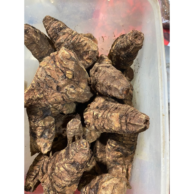 KEMENYAN KLEMBAK KERING kwalitas super untuk sarana ibadah dan pengharum ruangan