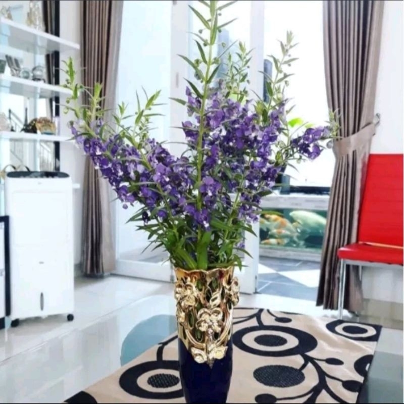 Tanaman Hias lavender tanaman pengusir nyamuk wangi indoor outdoor