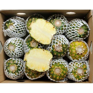 

Nanas Madu Jumbo Premium 1 Dus