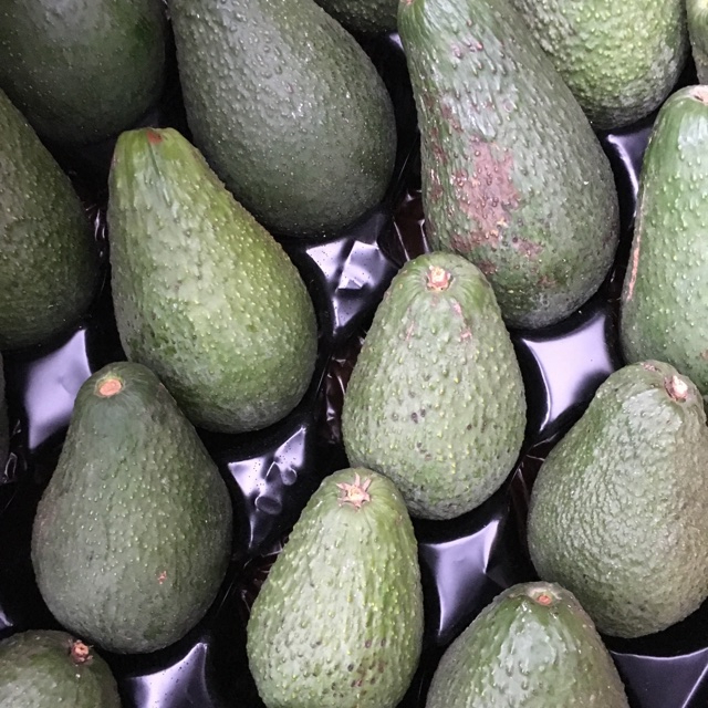 

Buah Alpukat Wurtz 1 Kg Fresh Hasil Kebun Sendiri