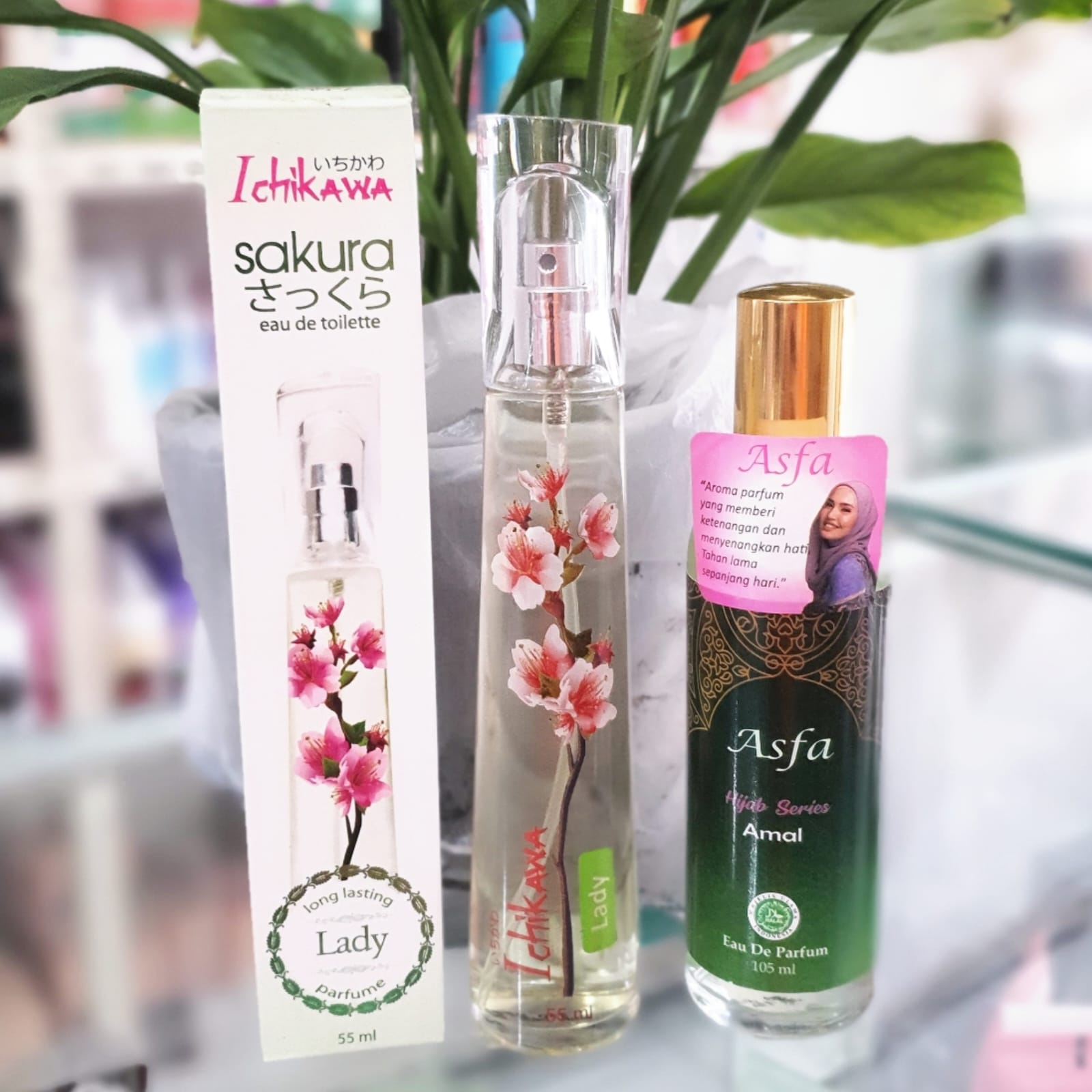 PAKET BUNDLING 2PCS ICHIKAWA SAKURA PARFUM 55ML X ASFA HIJAB EDP SERIES