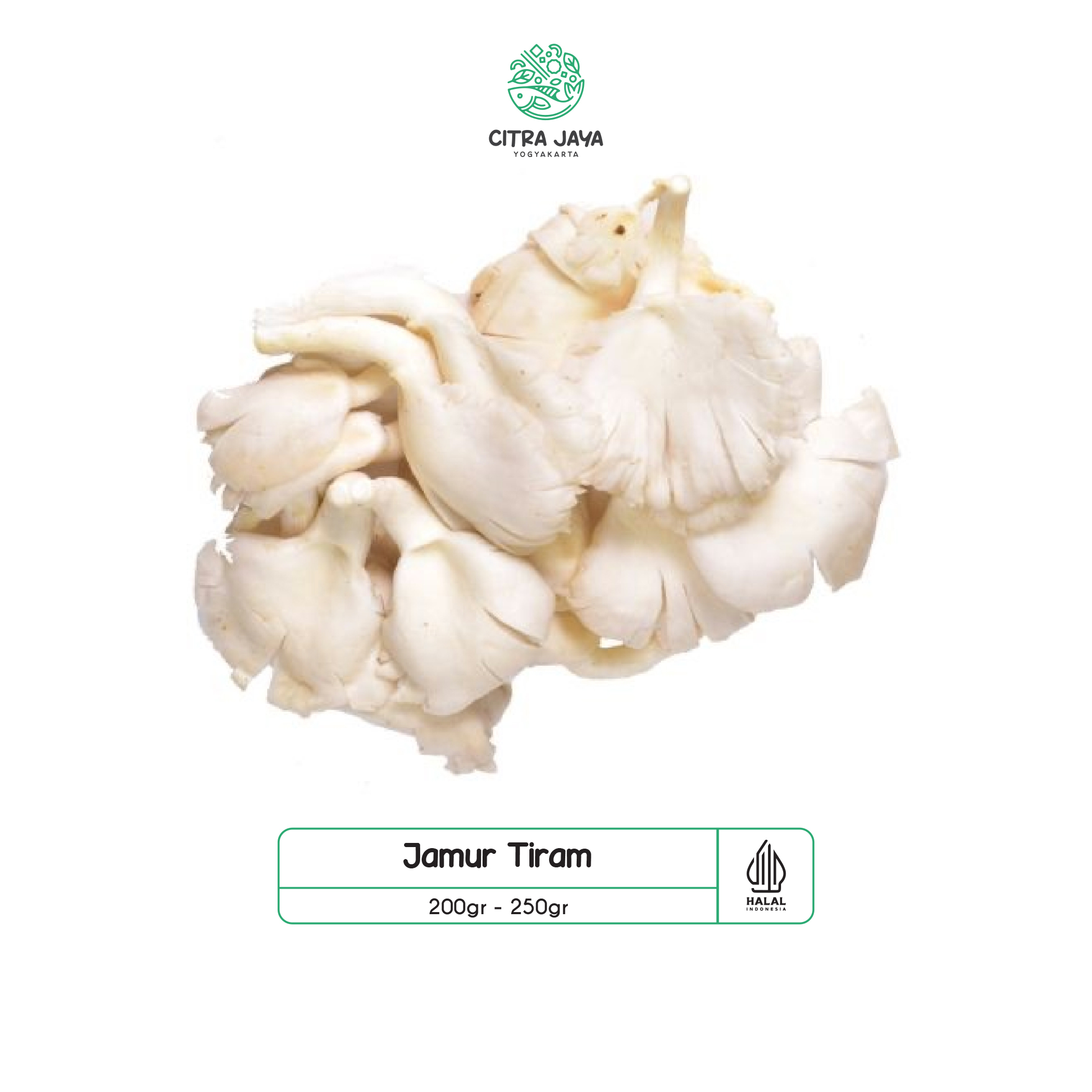 

Jamur Tiram 200g - Citra Jaya Yogyakarta