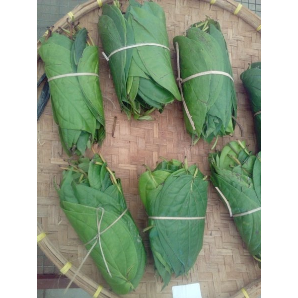 

Daun sirih 1 ikat