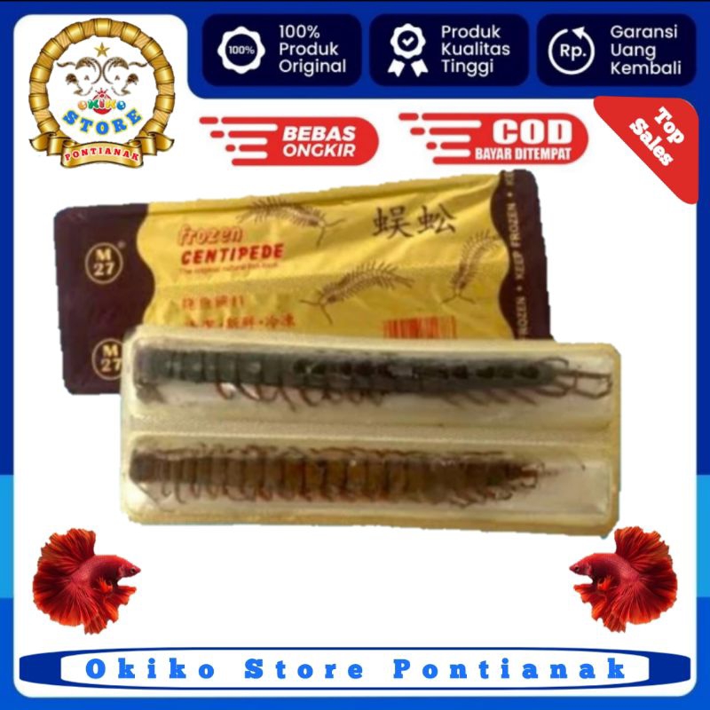 KELABANG BEKU FROZEN CENTIPEDE PAKAN IKAN PREDATOR ARWANA isi 2pcs