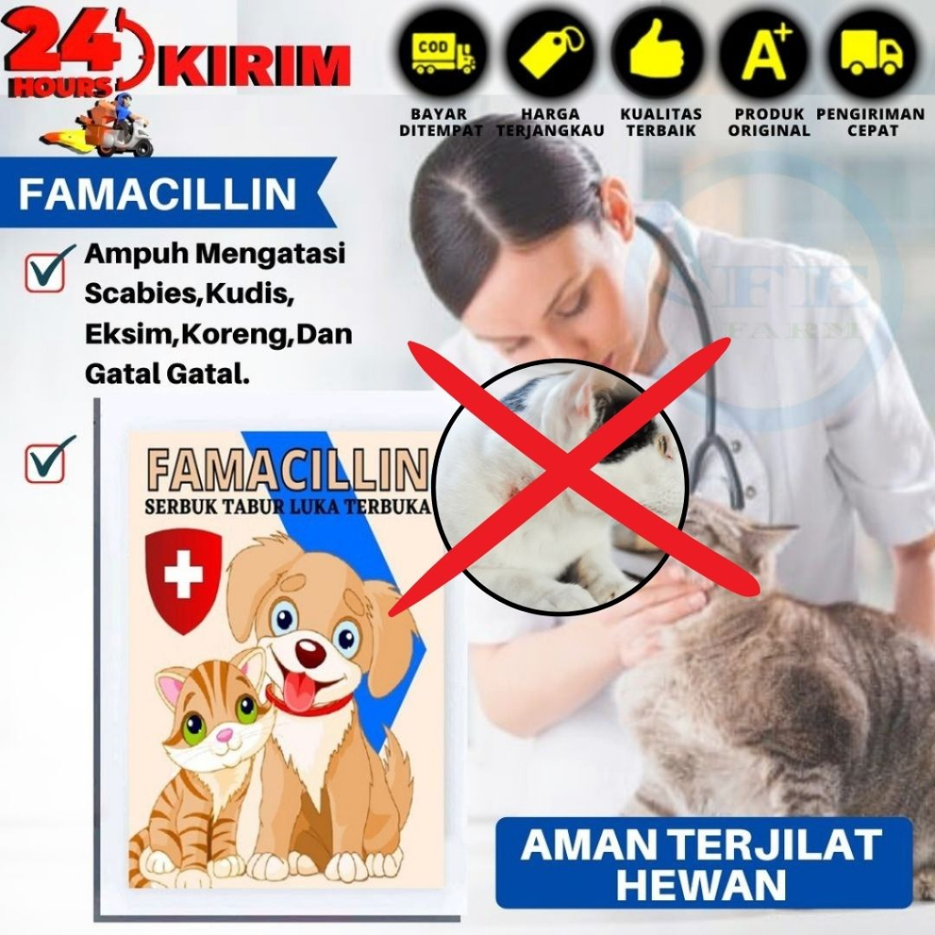 Famacillin Obat Kucing Luka Terbuka Infeksi Bernanah 10gram FEZONE