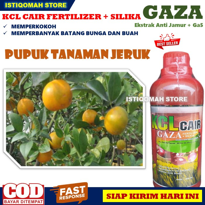 Pupuk Penyubur Tanaman Jeruk Terbaik Pupuk KCL GAZA 500ML Pupuk Cair untuk Mempercepat Pertumbuhan Tanaman Jeruk, Pupuk Pelebat Bunga dan Buah Tanaman Jeruk, Pupuk Buah Jeruk Tidak Mudah Busuk dan Pecah Hasil Panen Meningkat Paling Manjur dan Murah