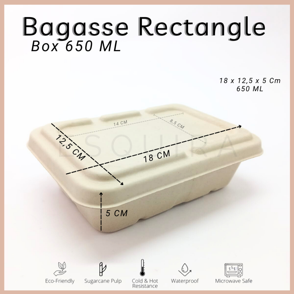 Bagasse Rectangle / Lunch Box 650 ML/Pulp Lid /Mika Lid /10 PCS/ C650,C650X