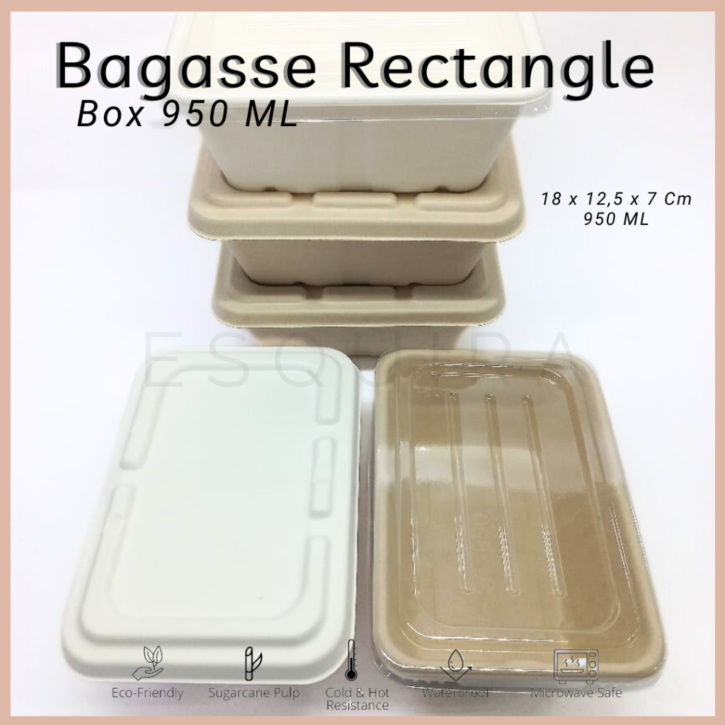 Bagasse Rectangle/Lunch Box 950 ML/10 PCS /Pulp Lid /Mika Lid / C950