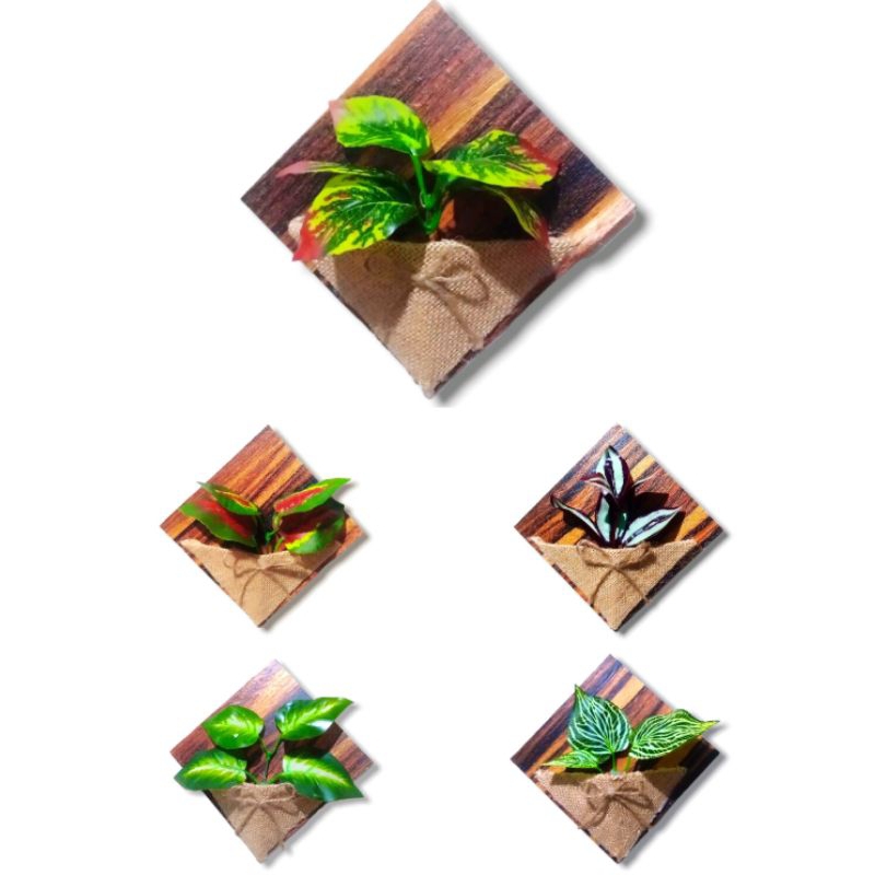 Hiasan Dinding 3 dimensi Tanaman