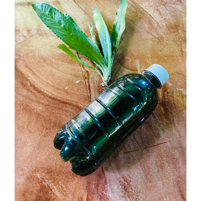 Essen walang sangit / esen walang sangit / umpan pancing 250 ml-az