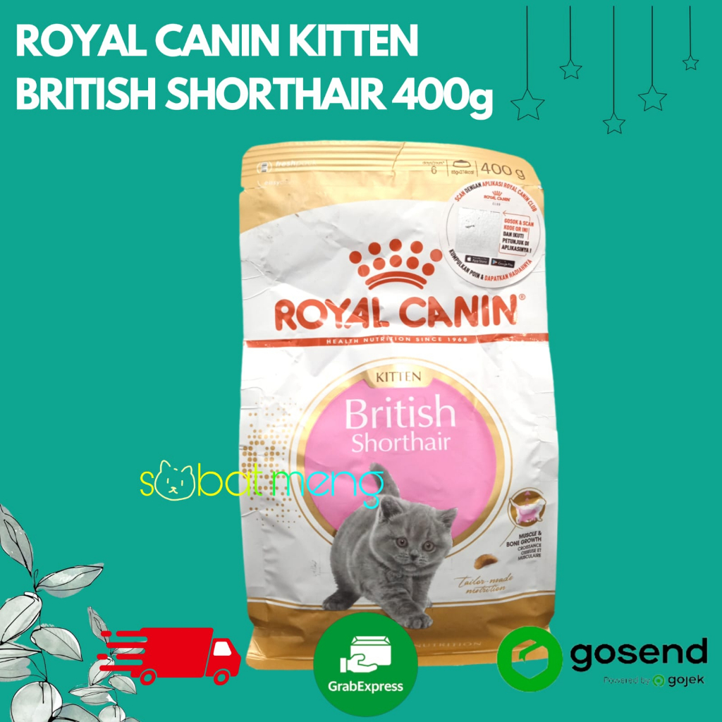 ROYAL CANIN KITTEN BRITISH SHORTHAIR 400g | ROYAL CANIN BSH KITTEN 400g