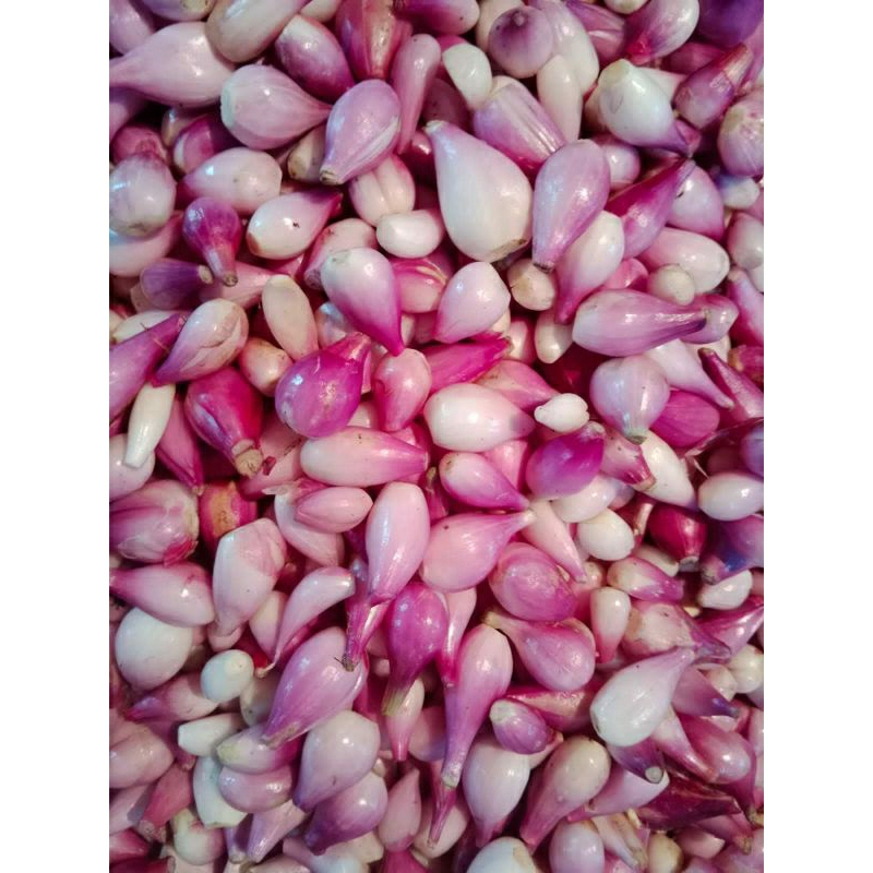 

BAWANG MERAH KUPAS 1KG