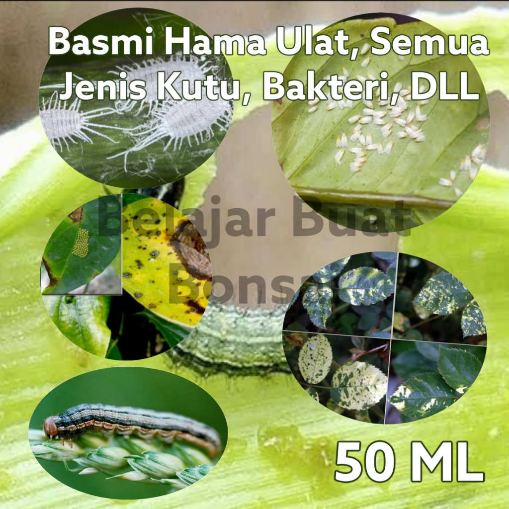 Pestisida Organik Basmi Semua Jenis Hama Tanaman 50 ML