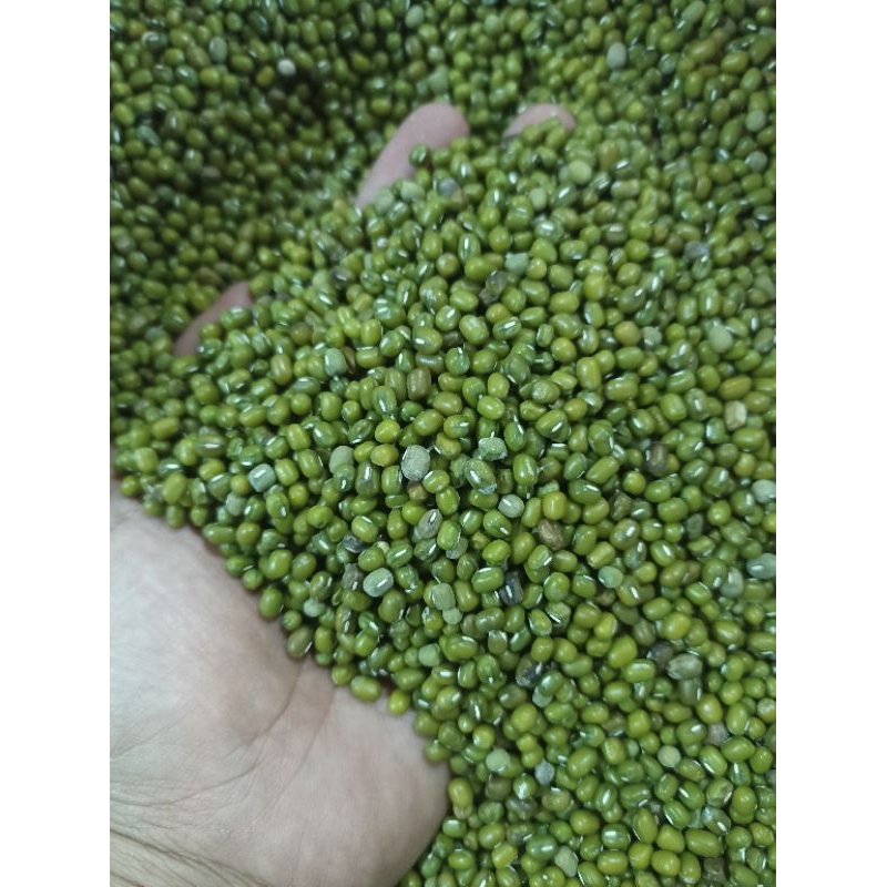 

Kacang Hijau Super 1kg