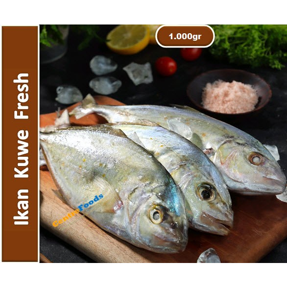 

Ikan Kue Fresh - Kuwe Fresh | 1.000gr [ Harga Per KG ]