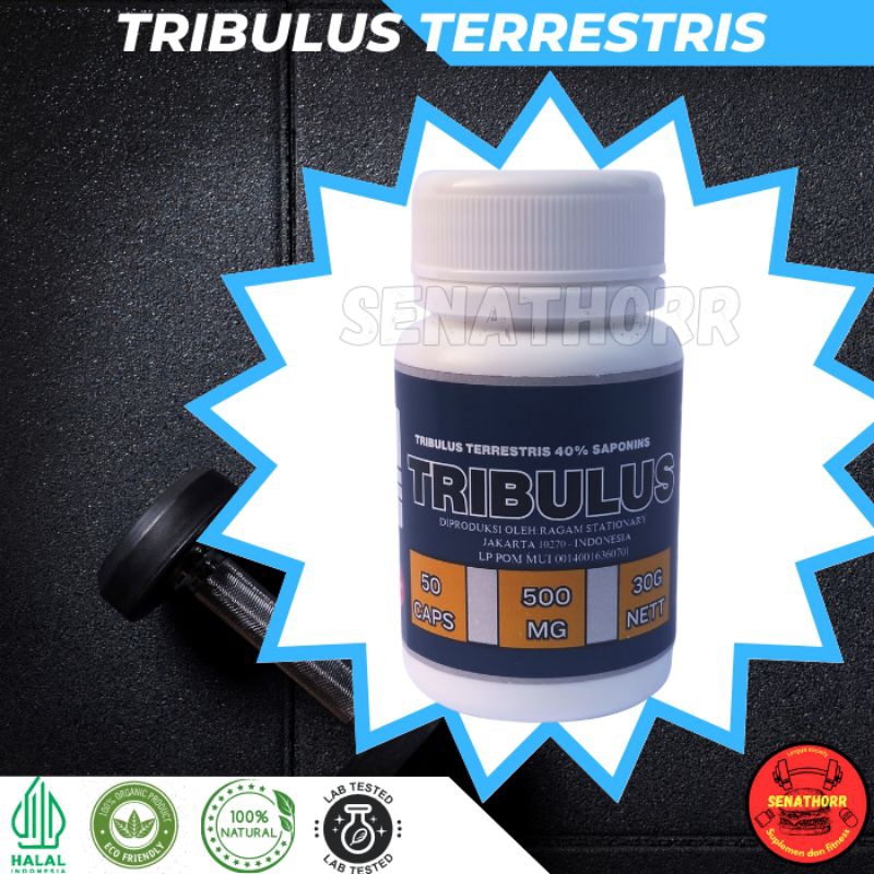 TRIBULUS TERRESTRIS KAPSUL 500 MG eceran obat kuat peningkat vitalitas pria supplement gym dan fitne