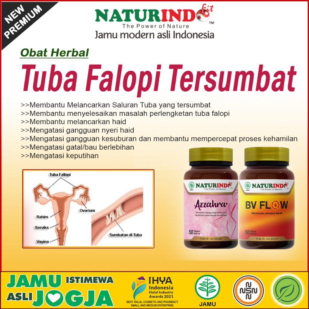 Obat Herbal Tuba Tersumbat Tuba Falopi Tersumbat Hidrosalping NATURINDO